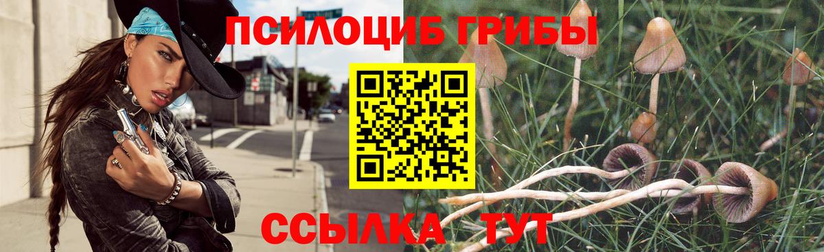 Псилоцибиновые грибы Psilocybe  Вход с VPN  Галлюциногенные грибы Psilocybine cubensis  Верхняя Салда 